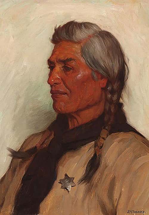 Skunk, Gros Ventre; [Judge Skunk]